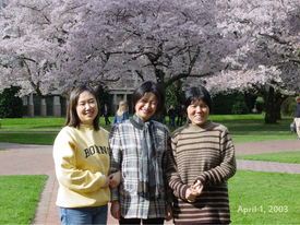 2003 Chuyong, Yanyan, and Xiaoli, under the cherry blossoms