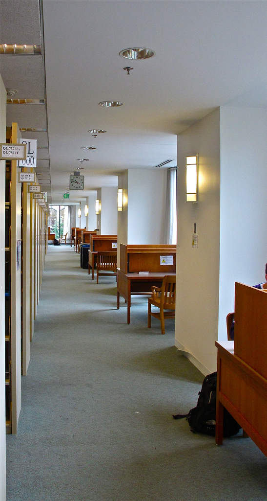 Allen Library South Carrels B Allen Library South Carrels B