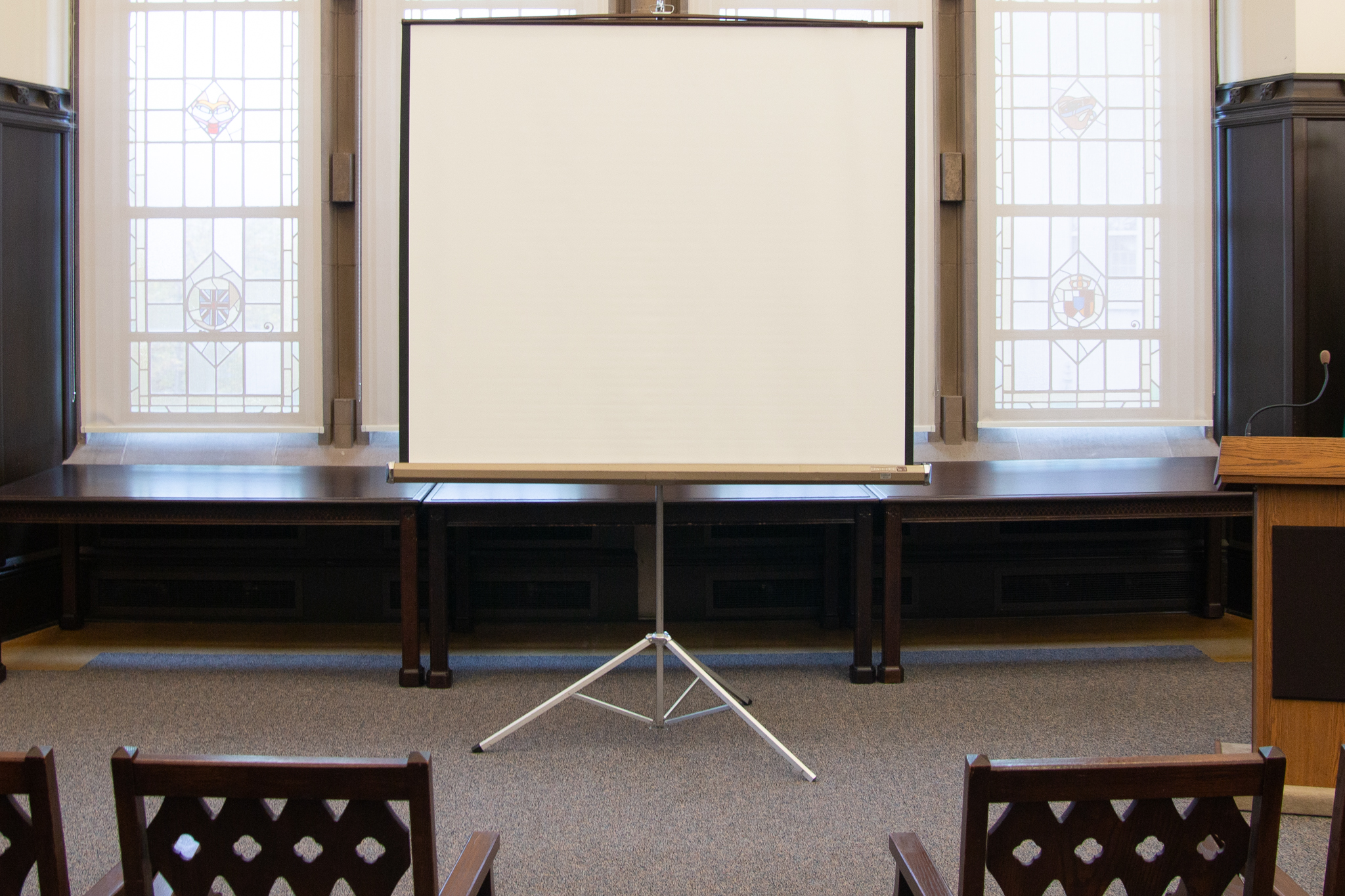 Photo Petersen  Room Projection Screen