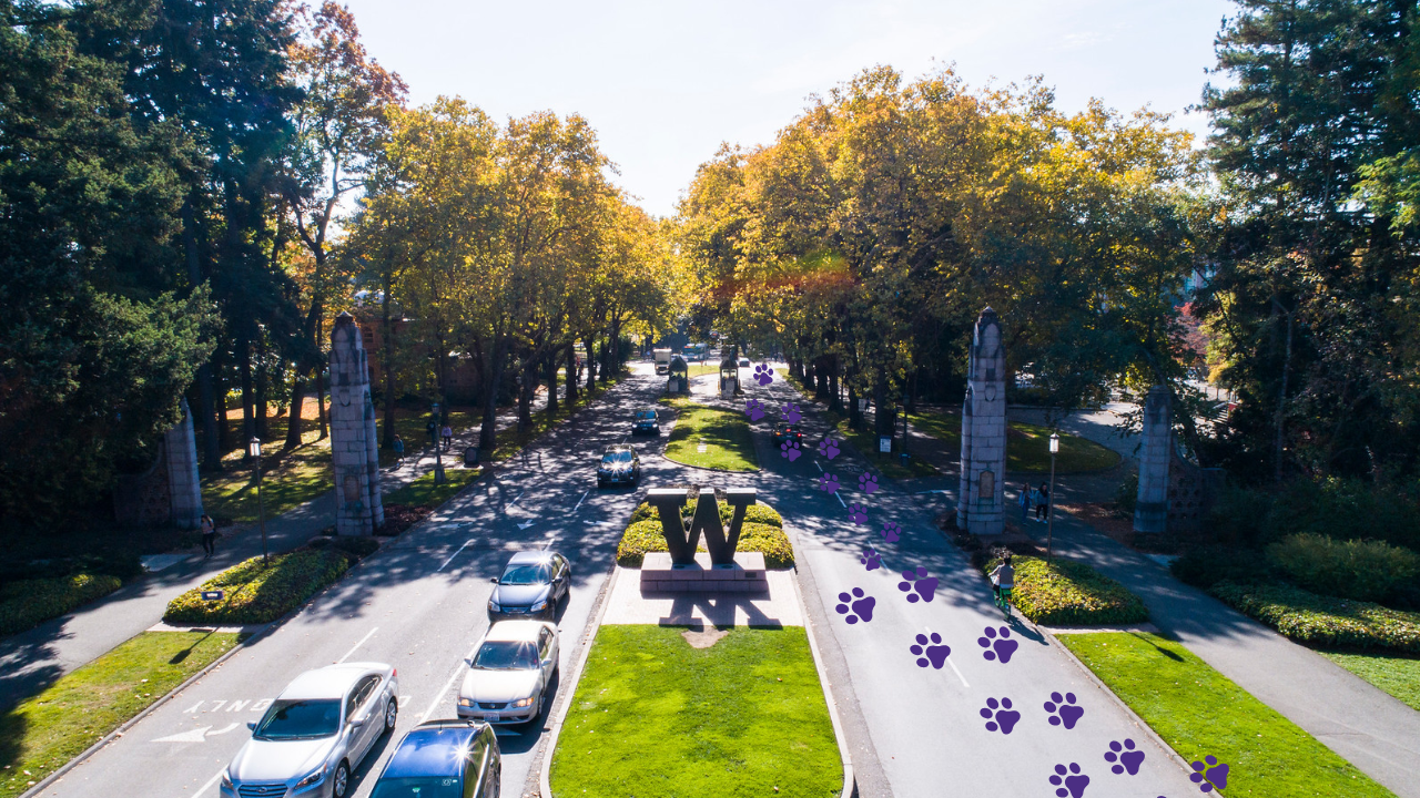 Photo of cars driving into campus