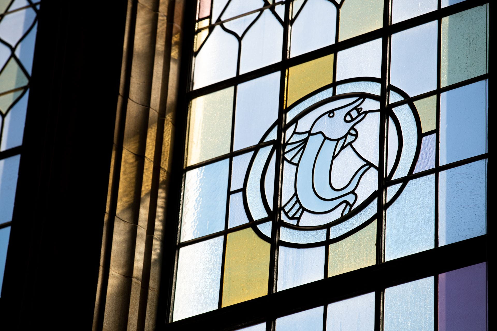 Dolphin window in the Reading Room.