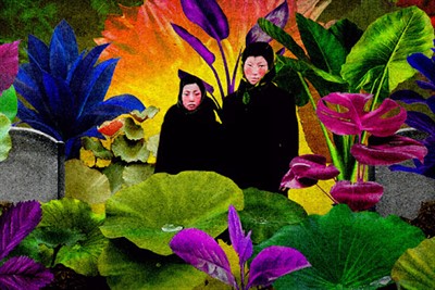 Harvesting Light and Liquid Hauntology: A Screening and Conversation with Soyoung Kim