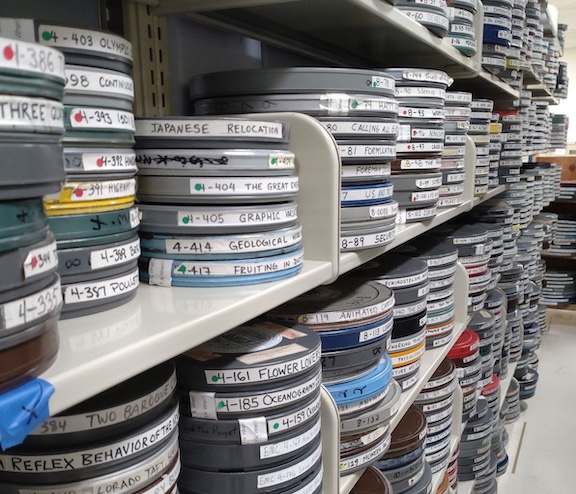 Photo of Film cans in collections storage