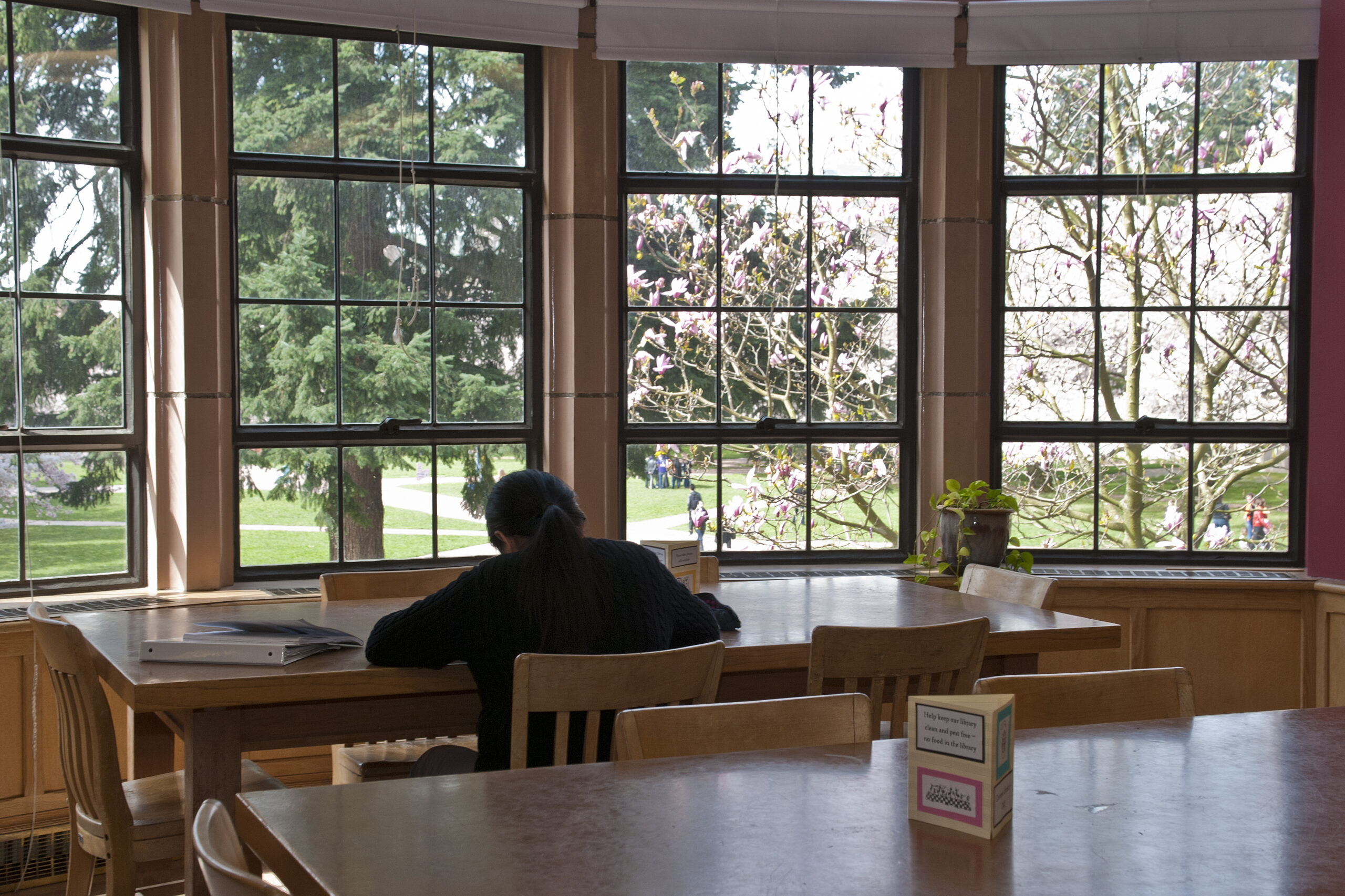 Music Library table in front of large windows