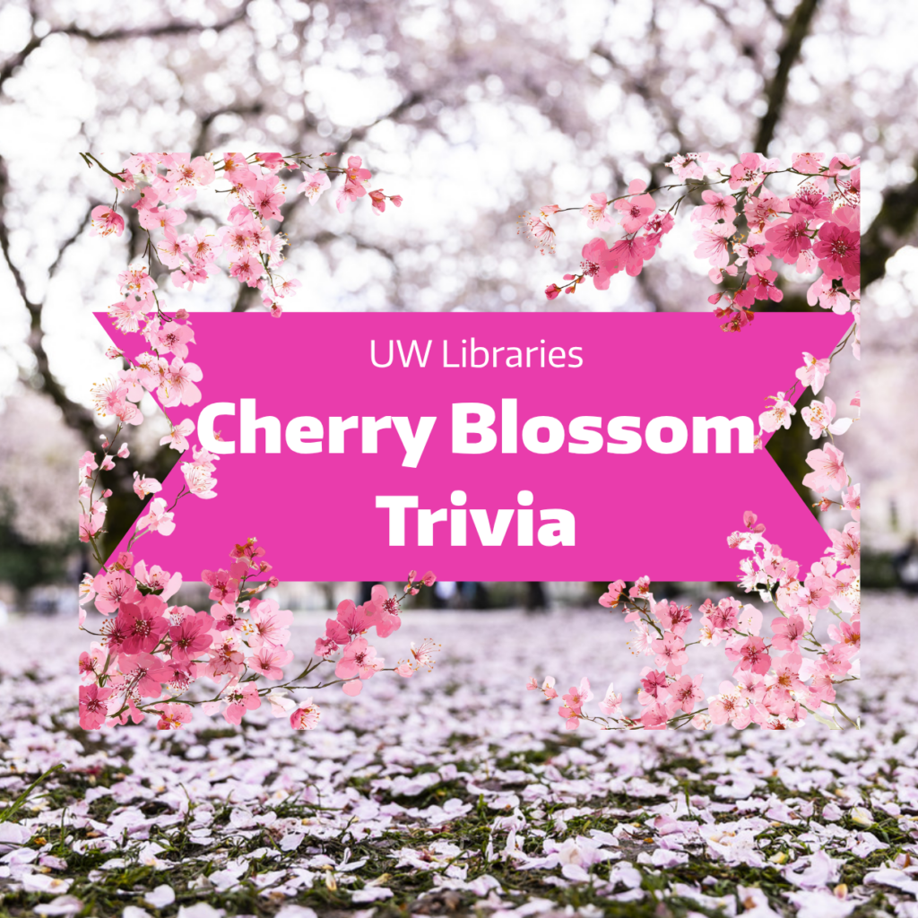 Image: "Cherry Blossom Trivia" 
