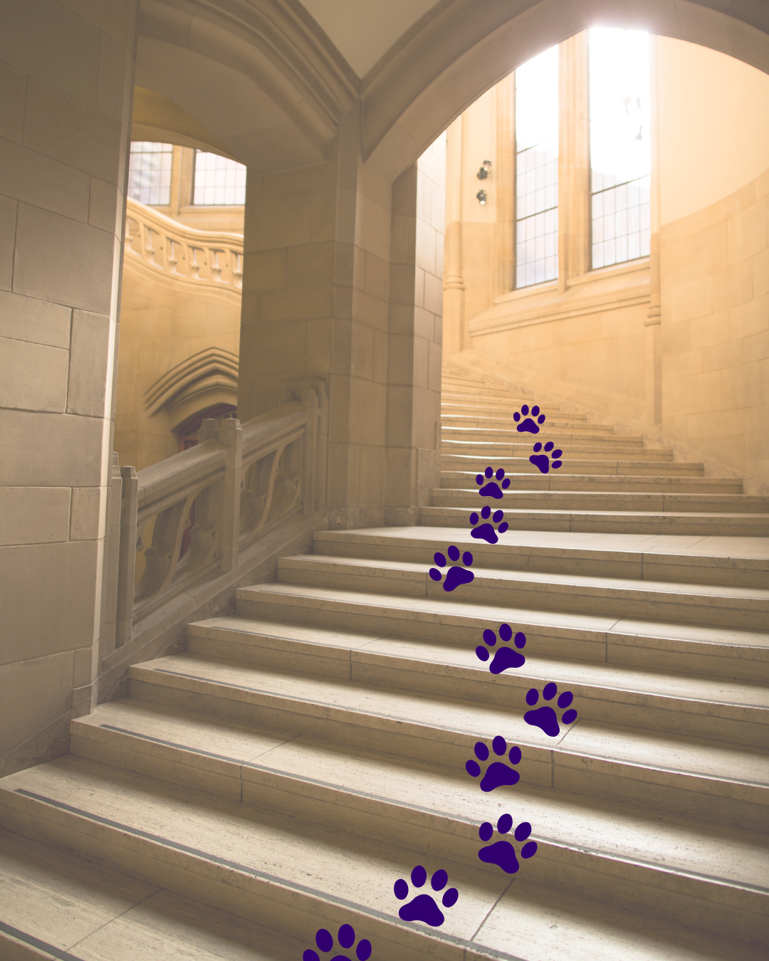 Untitled Design (5)